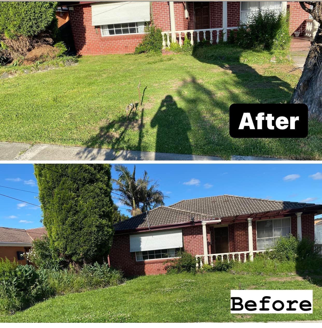 Before and after front yard lawn mowing and garden cleanup in Melbourne by Starsnation Services Australia