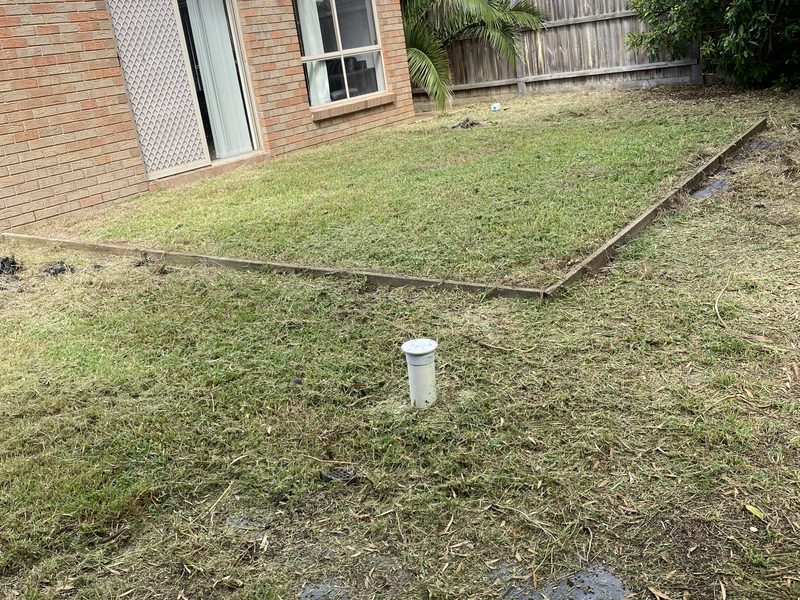 Freshly mowed and clean backyard after Starsnation lawn mowing service in Melbourne west