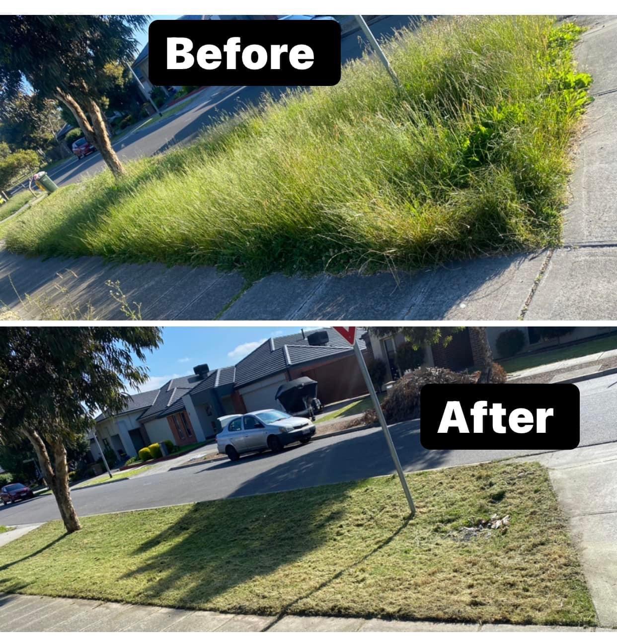 Before and after nature strip mowing service in Melbourne by Starsnation Services Australia