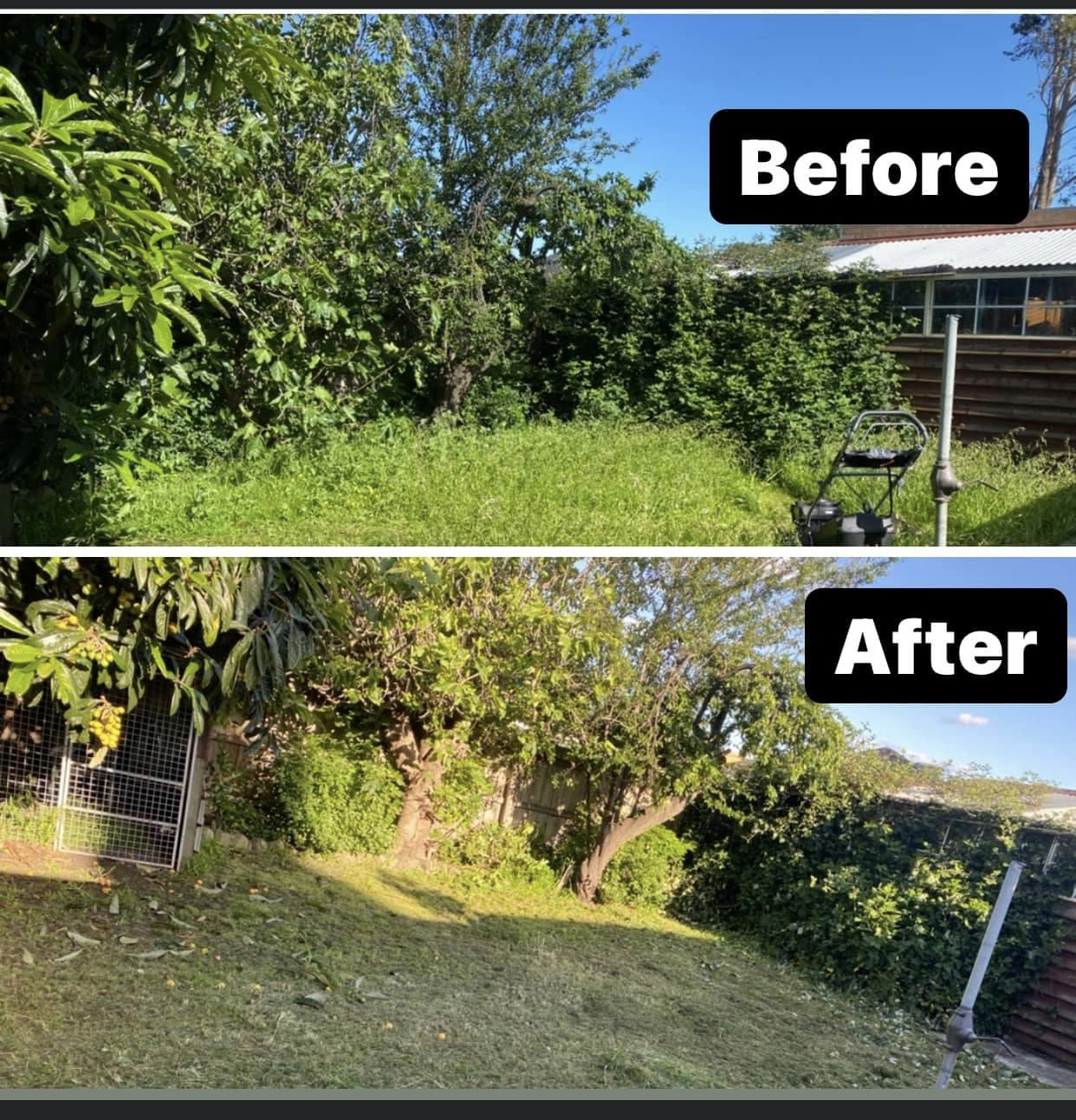 Before and after overgrown garden cleanup in Melbourne by Starsnation Services Australia